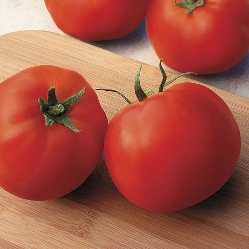 big yummy tomato.jpg